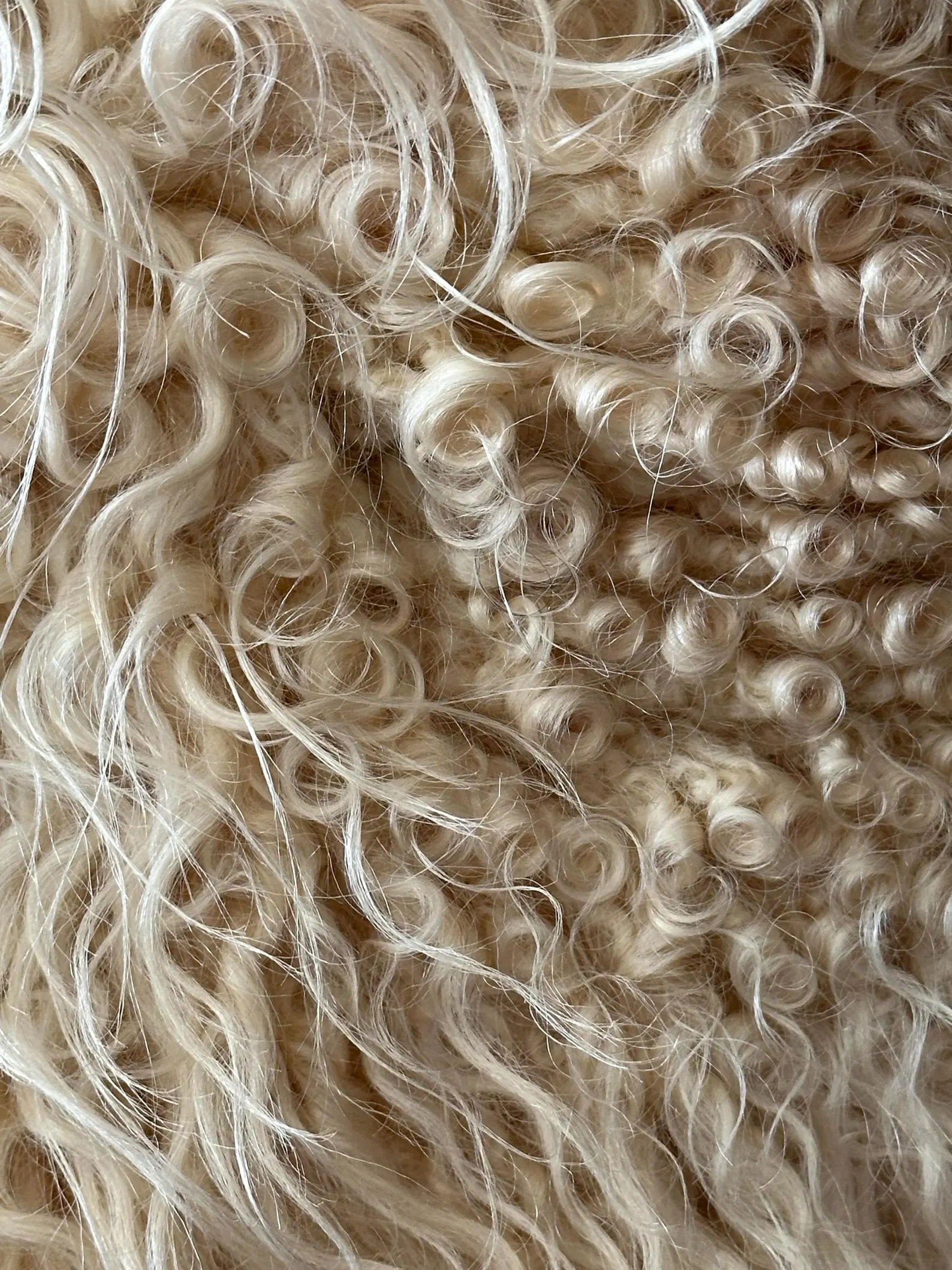 Large Black and white natural Icelandic sheepskin - Image 9