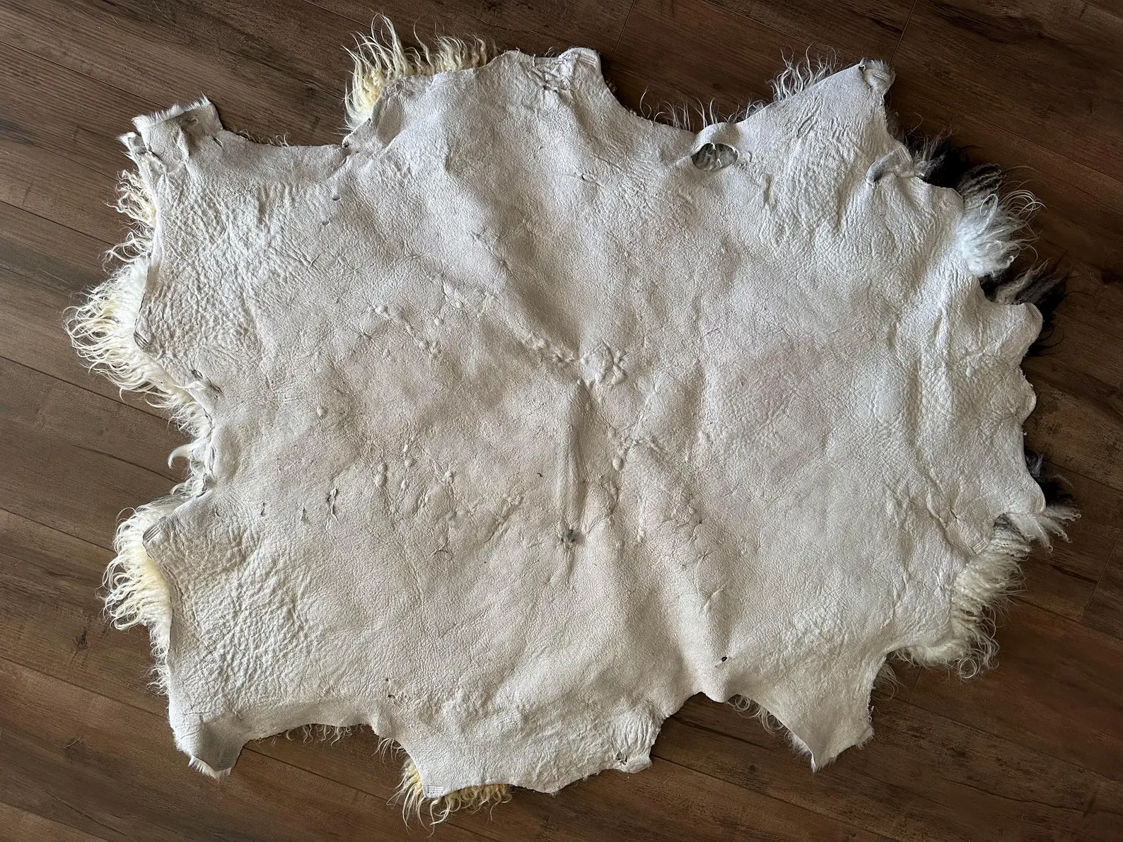 Large Black and white natural Icelandic sheepskin - Image 4