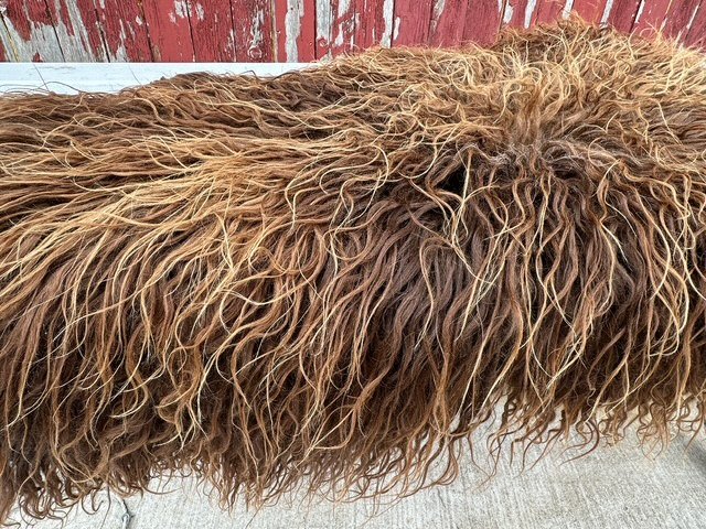 Auburn Brown with Long Wavy Locks - Image 3