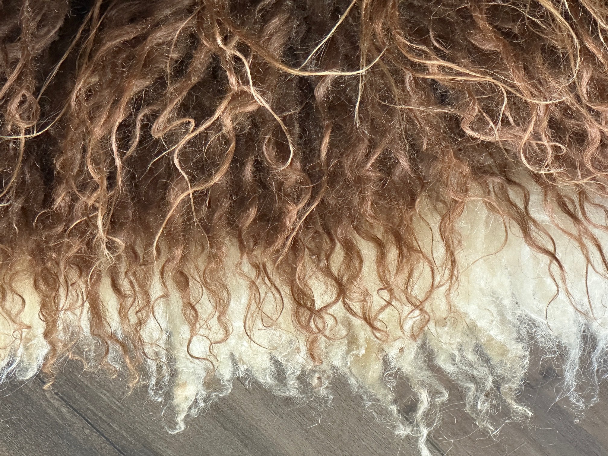 Auburn Brown with Long Wavy Locks - Image 9