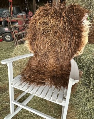 Vegetable tanned leather sheepskin rug