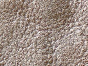 vegetable tanned leather
