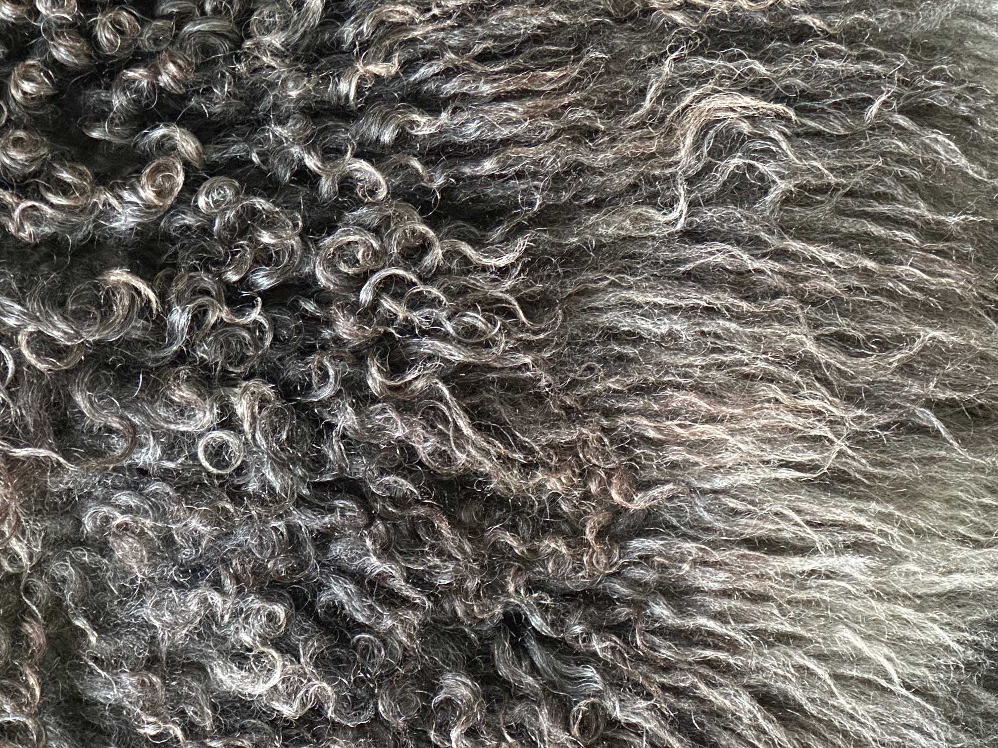 Gray with Silver and Dark Tones - Image 6