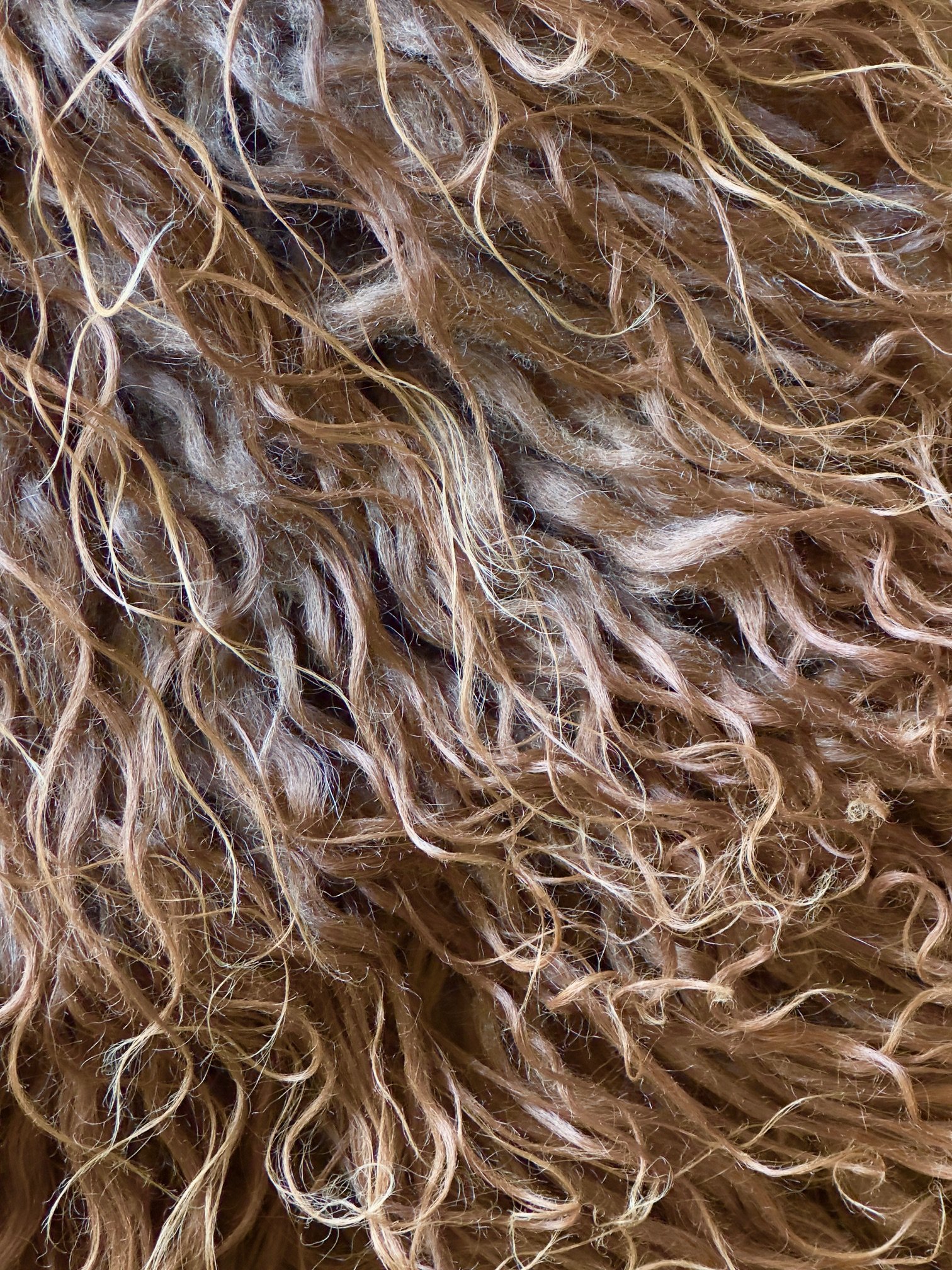Auburn Brown with Cream Accents - Image 5