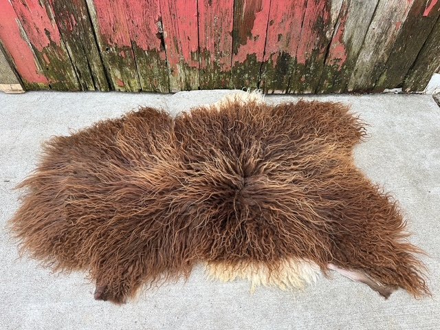 Auburn Brown with Cream Accents - Image 8