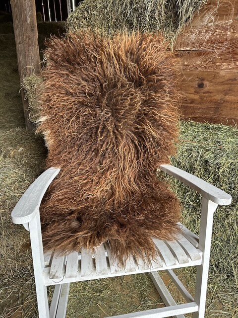 Auburn Brown with Cream Accents - Image 2