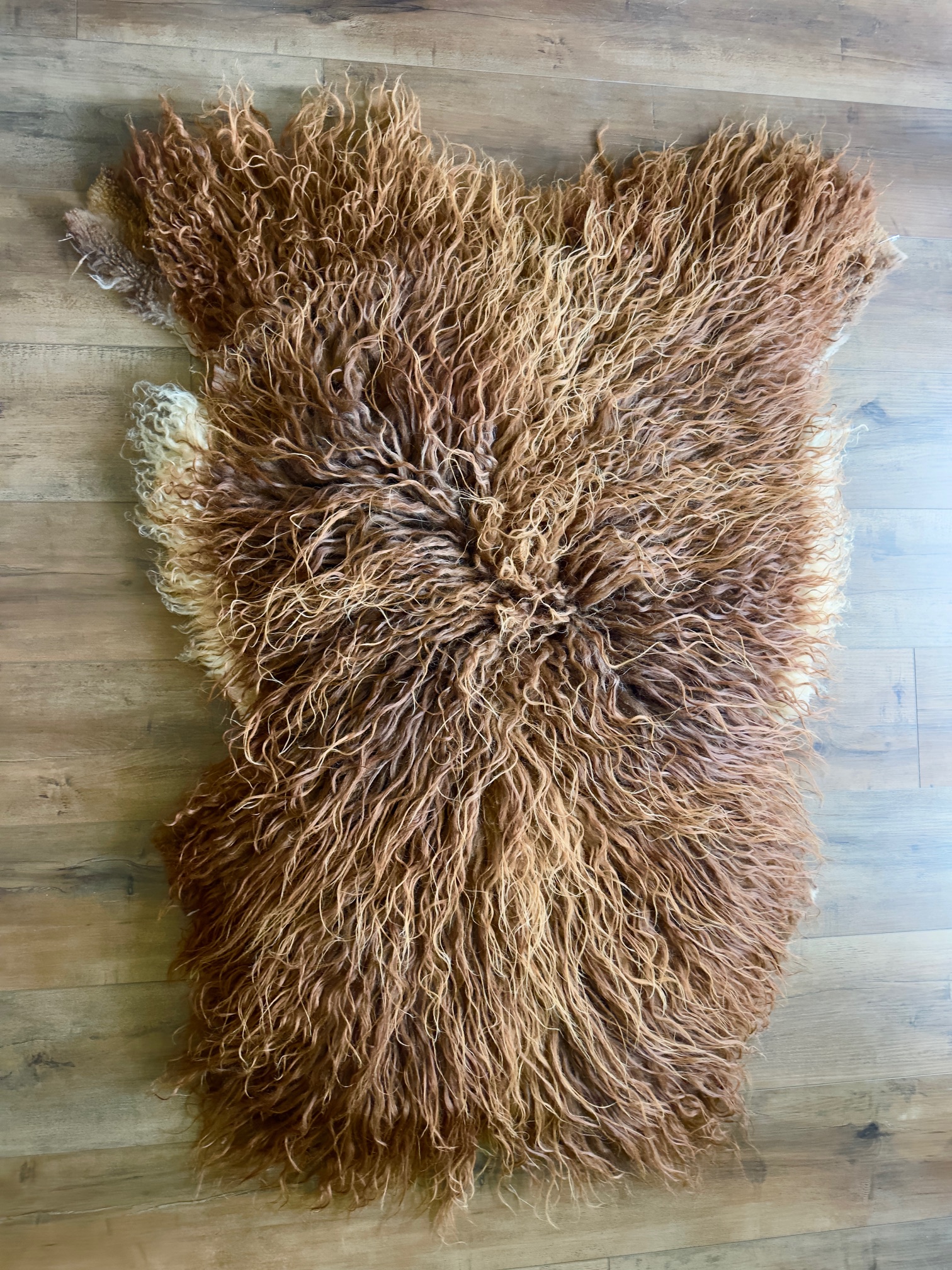 Icelandic Veg Tanned Hide with Cream Accents - Telderer's Rainbows