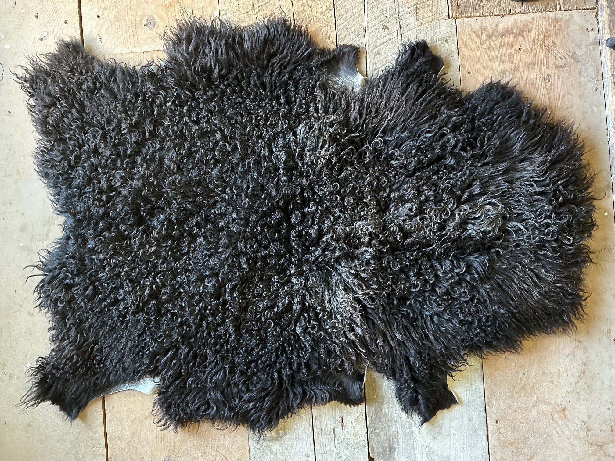 Charcoal Black - Image 2