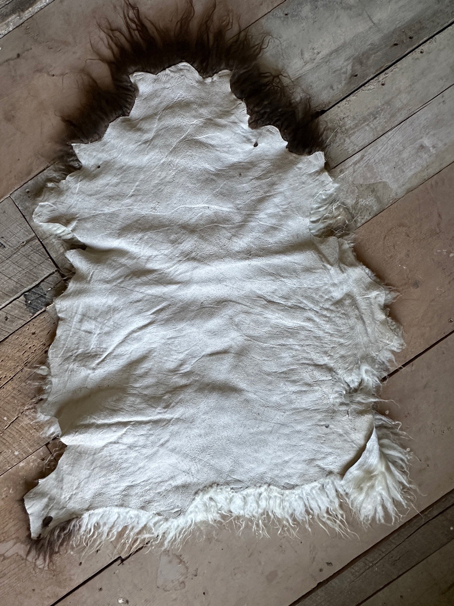 Brown and White - Image 6