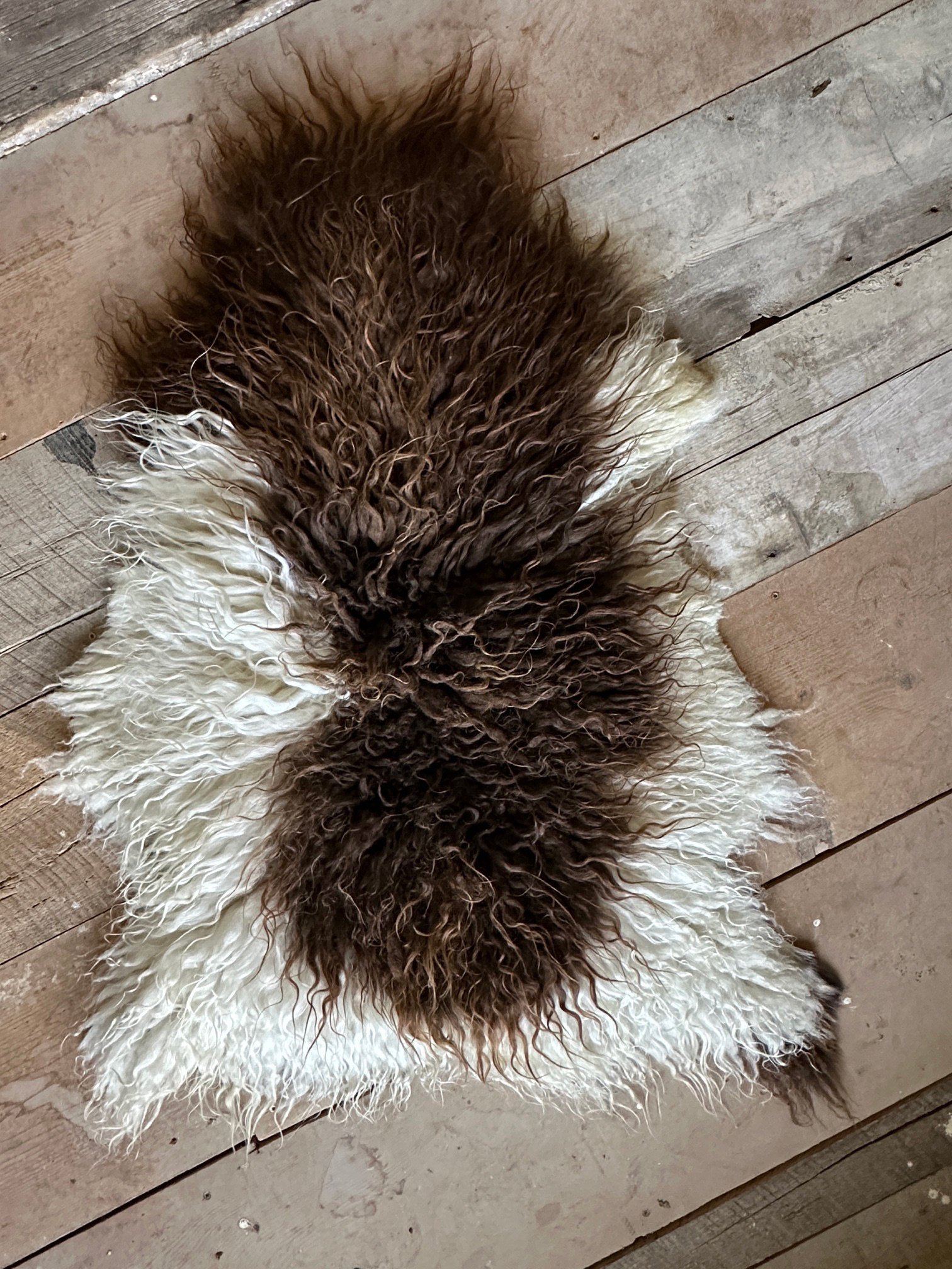 Brown and White - Image 2
